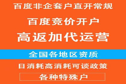 百度推广实战教程：多角度案例分析